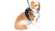 Real-time Android GPS Pet Tracker Motion Detect for Easy Pet Tracking Size:XS