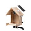 Smart Bird Feeder with Solar Powered Camera, Bird-Watching Camera Outdoor Feeder with 200W 1080P Camera, 3.5L Food Case, 128G SD Card, Burly