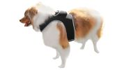 Real-time Android GPS Pet Tracker Motion Detect for Easy Pet Tracking Size:XS